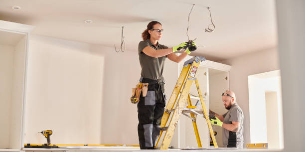 Best Electric Panel Repair  in Fulda, MN